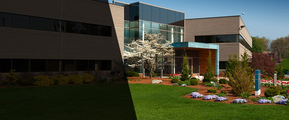 Fort Stockton Landscapers