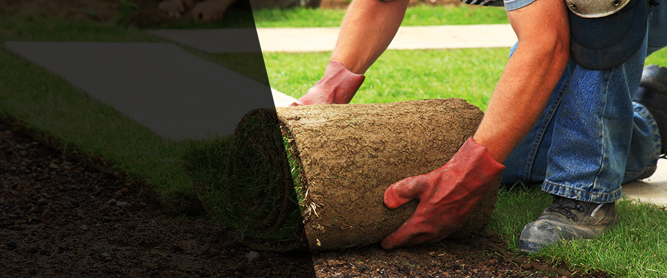 Fort Stockton Landscapers